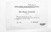Image Associated With the Occurence